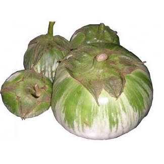 Hạt giống cà bát xanh - Ảnh 1